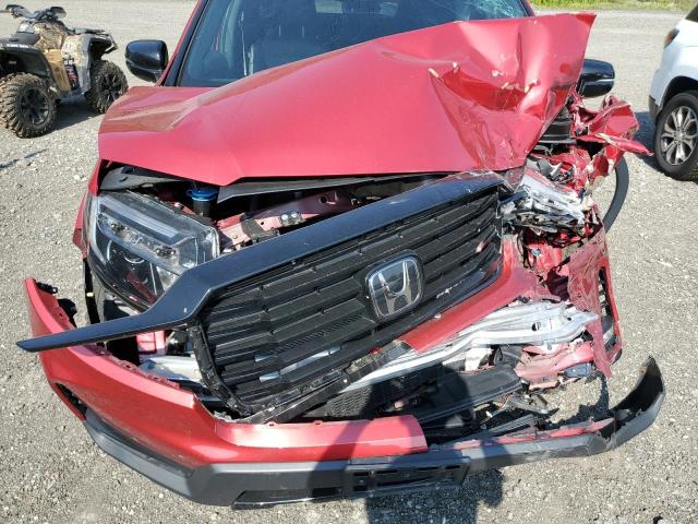 2024 HONDA PASSPORT B 5FNYF8H83RB023152