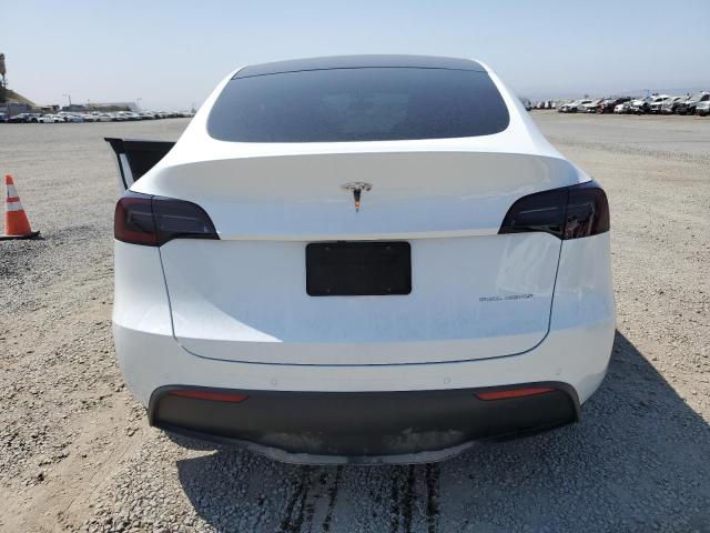 2020 TESLA MODEL Y 5YJYGDEE3LF042954