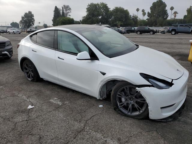 2024 TESLA MODEL Y 7SAYGDEE8RF165984