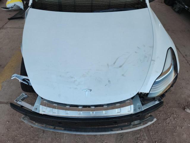 2023 TESLA MODEL Y 7SAYGDEE0PA050659