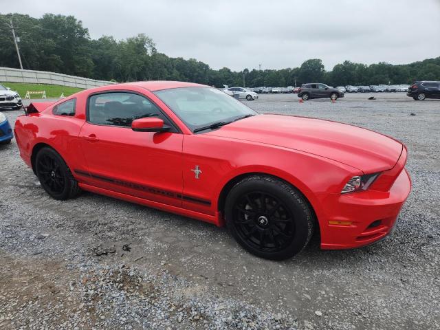 2013 FORD MUSTANG - 1ZVBP8AM0D5263311