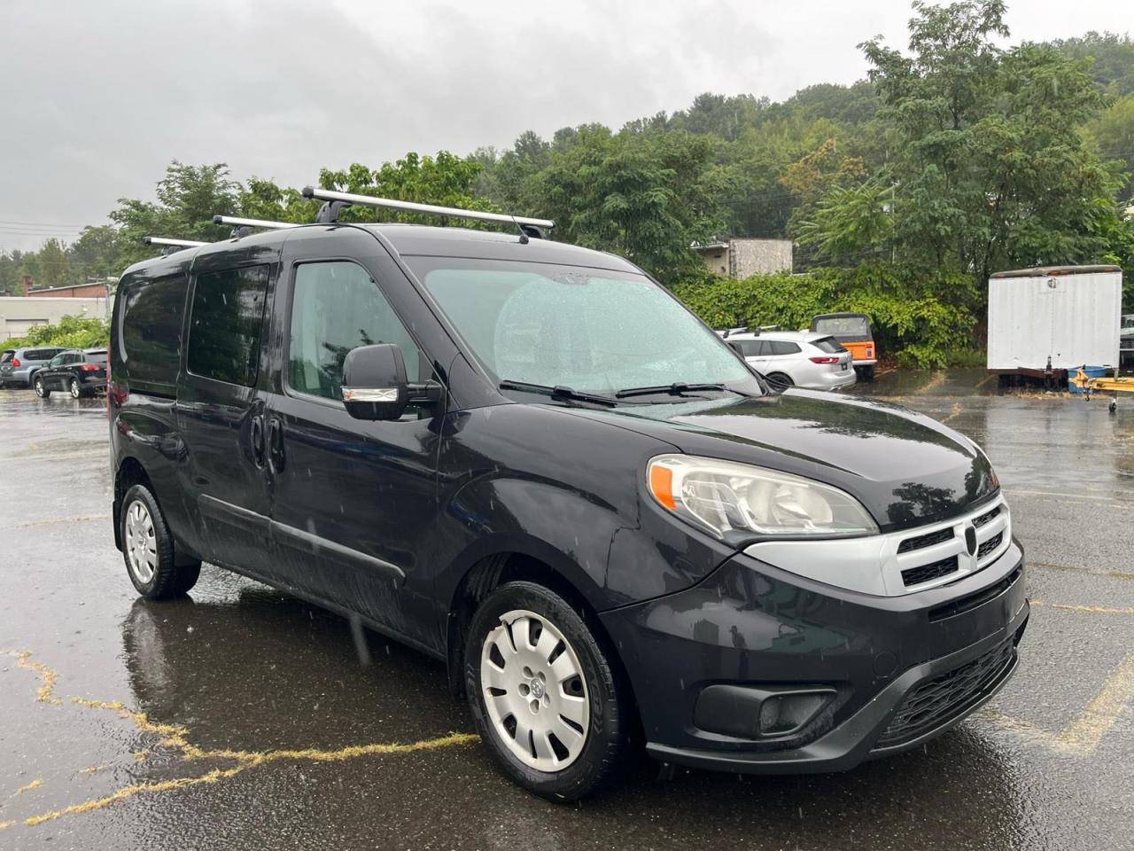 RAM PROMASTER