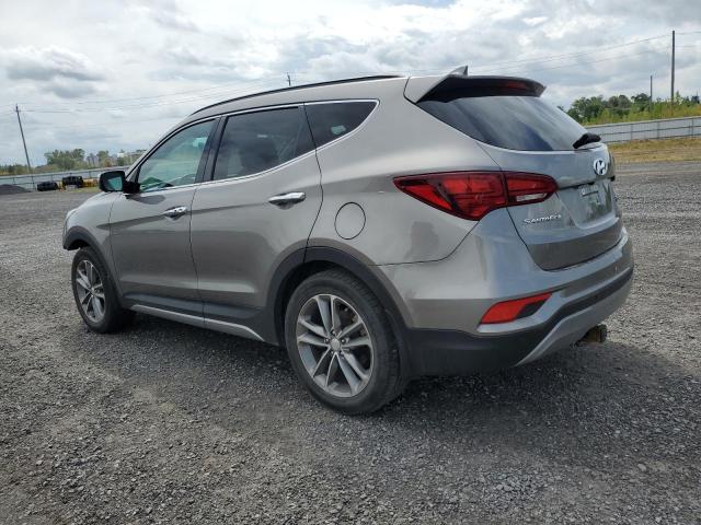 2017 HYUNDAI SANTA FE S - 5XYZUDLA0HG455511