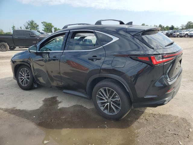 2025 LEXUS NX 250 BAS 2T2ADCAZXSC023202