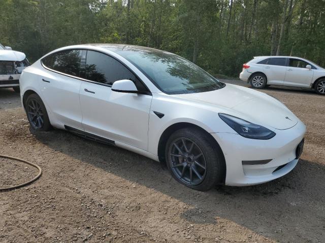 2021 TESLA MODEL 3 5YJ3E1EA6MF918834