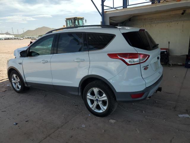 2014 FORD ESCAPE SE - 1FMCU0G98EUE41036