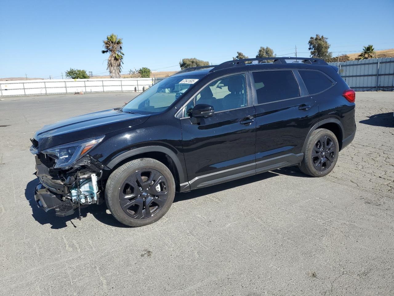 SUBARU ASCENT LIMITED