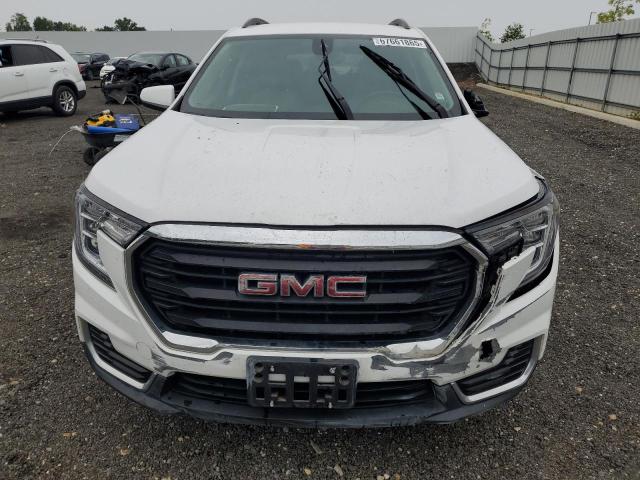 2022 GMC TERRAIN SL 3GKALTEV6NL299686