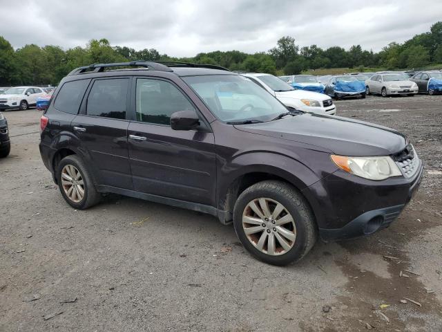 2013 SUBARU FORESTER 2 - JF2SHADC0DH406350