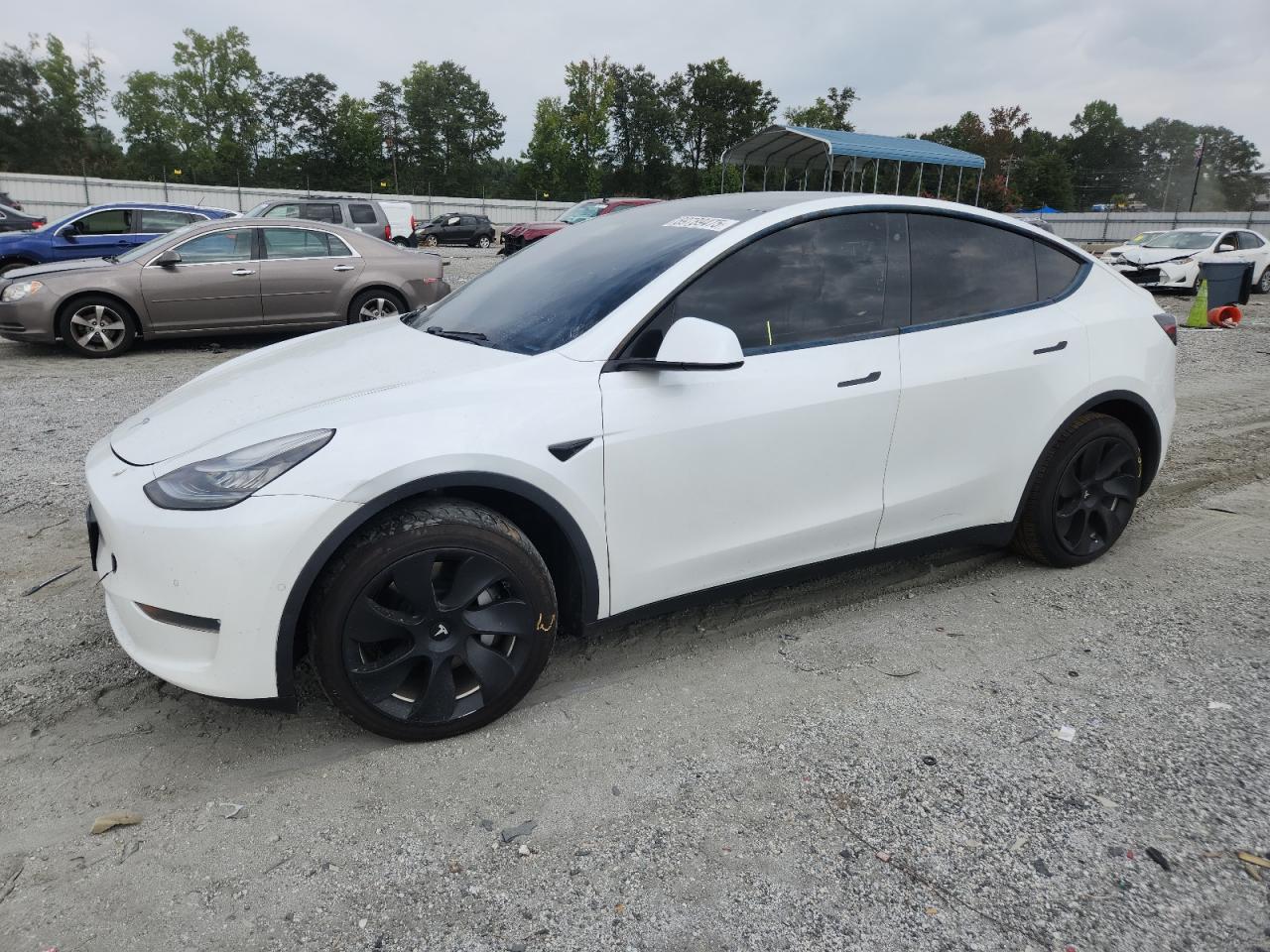 TESLA MODEL Y