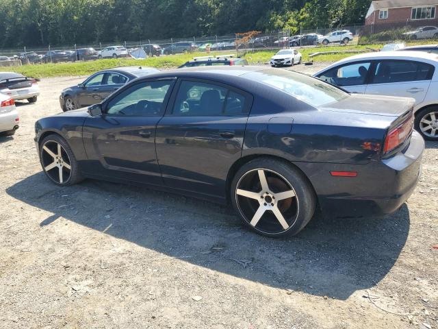 2013 DODGE CHARGER PO - 2C3CDXAT7DH546741