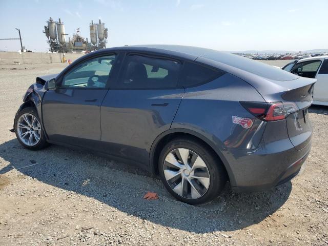2023 TESLA MODEL Y 7SAYGDED3PF962552