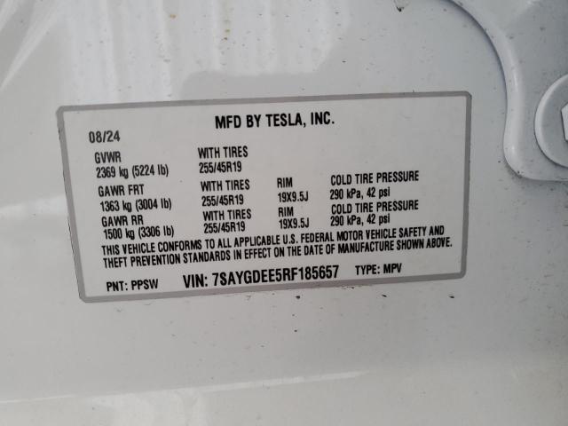 2024 TESLA MODEL Y 7SAYGDEE5RF185657