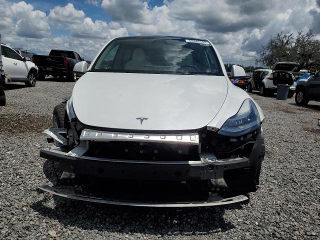 2023 TESLA MODEL Y 7SAYGDEE8PA147687