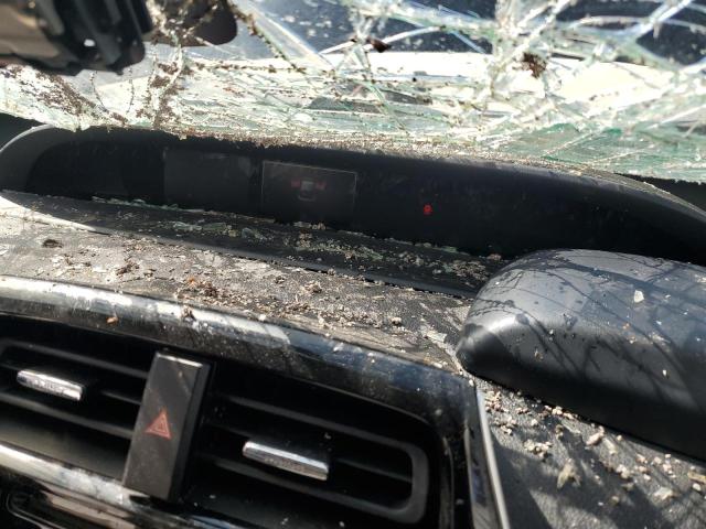 2019 TOYOTA PRIUS #3268911216