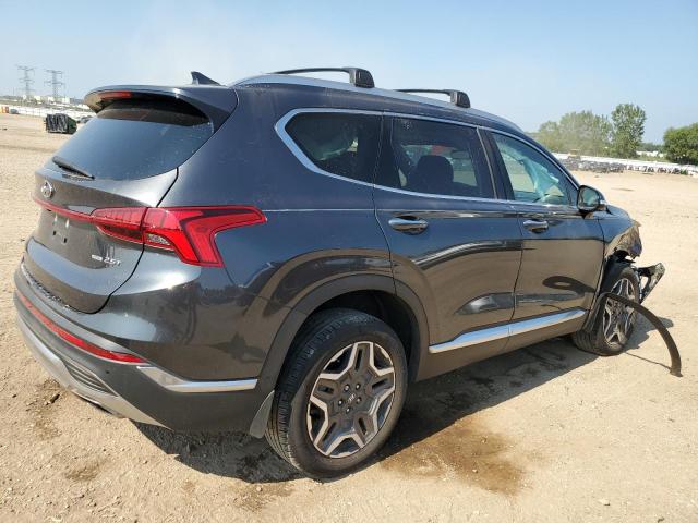 2023 HYUNDAI SANTA FE L 5NMS4DAL6PH614851