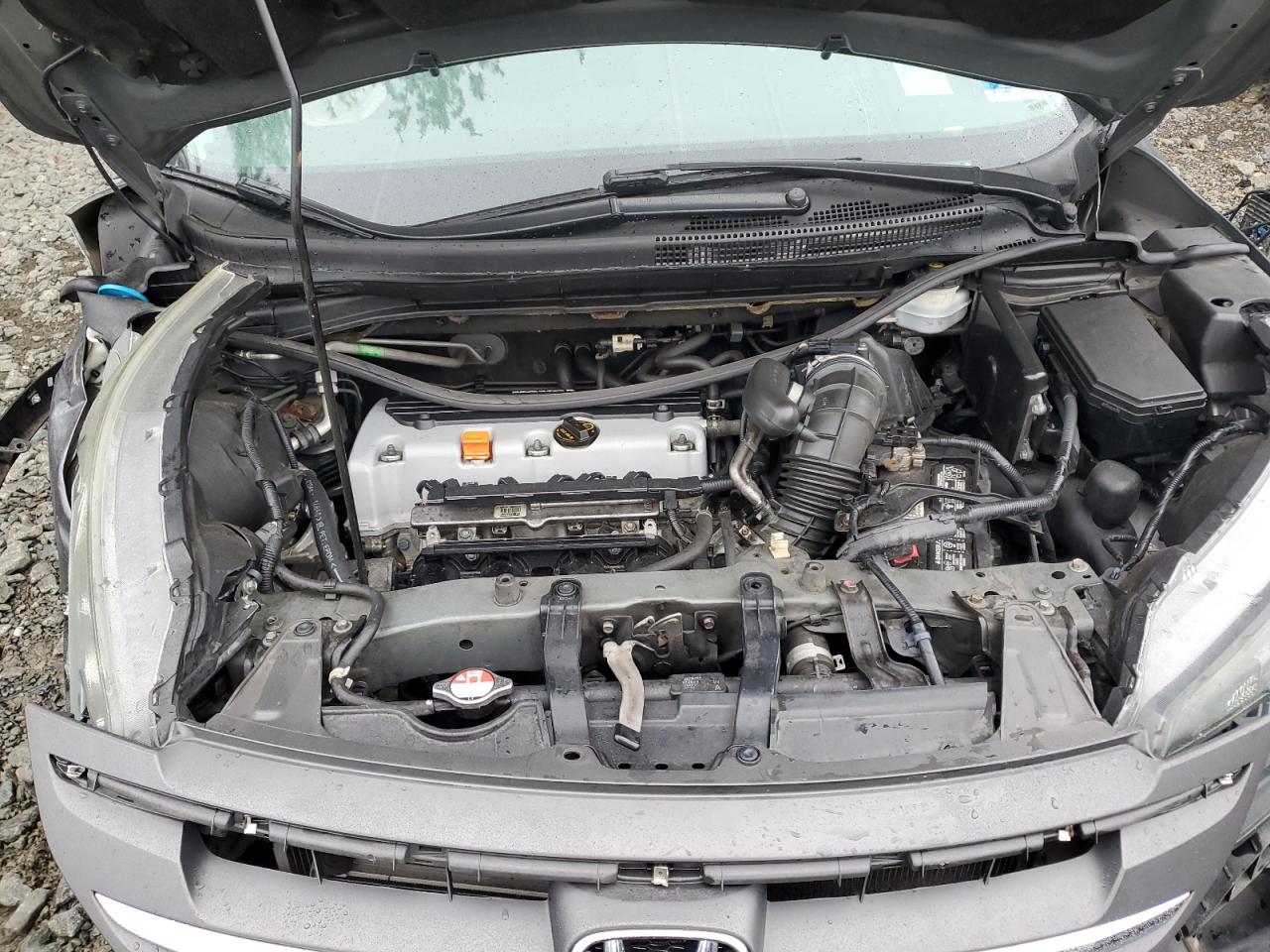 Lot #3316791409 2014 HONDA CR-V EX