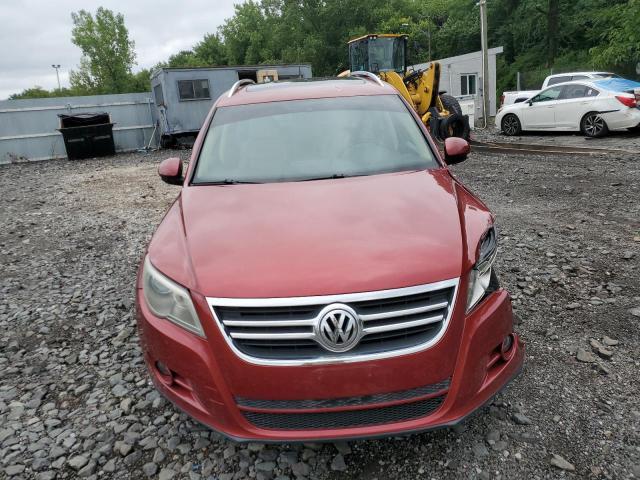 2010 VOLKSWAGEN TIGUAN SE - WVGBV7AX2AW000641