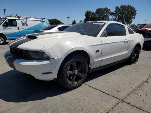 2010 FORD MUSTANG GT - 1ZVBP8CH5A5168772