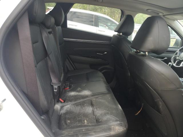 2022 HYUNDAI TUCSON LUX KM8JCCA19NU027889