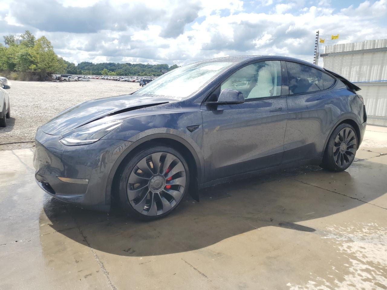 TESLA MODEL Y