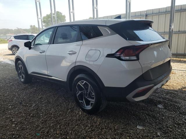 2025 KIA SPORTAGE L - 5XYK2CDF5SG316834
