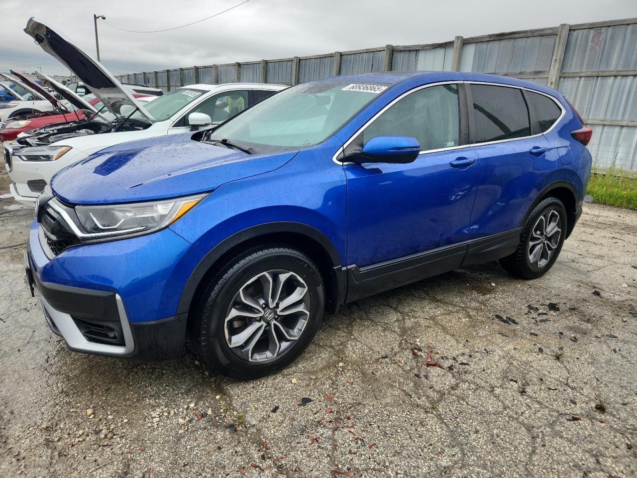HONDA CR-V EX