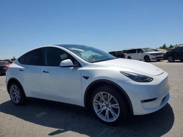 2023 TESLA MODEL Y #3305285428