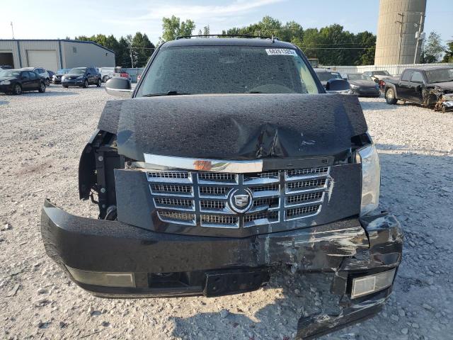 2010 CADILLAC ESCALADE - 1GYUKAEF7AR224288