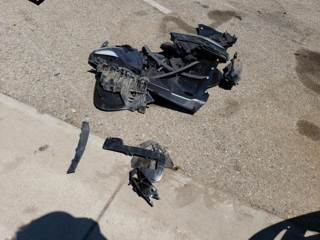 2024 TESLA MODEL Y 7SAYGDEE1RF123687