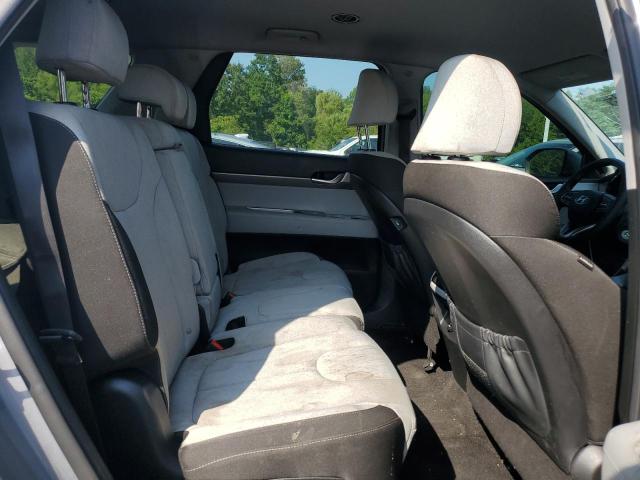 2020 HYUNDAI PALISADE S KM8R1DHE5LU066130