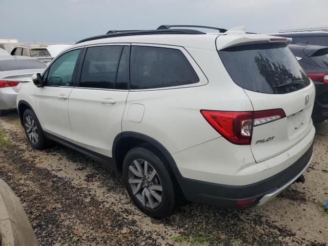 2019 HONDA PILOT EXL 5FNYF6H43KB045045