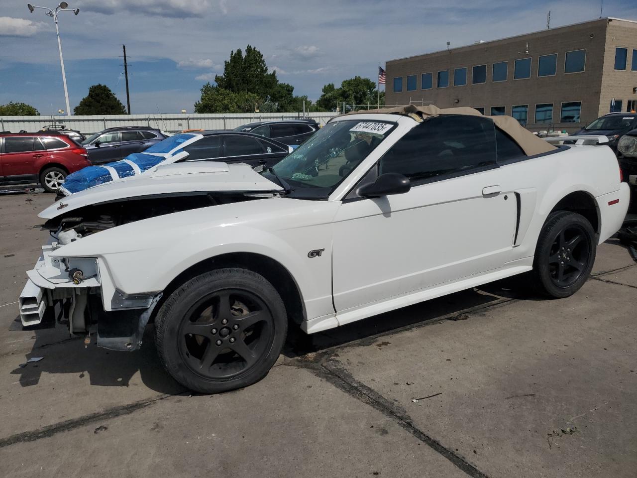 Lot #3235027967 2003 FORD MUSTANG GT