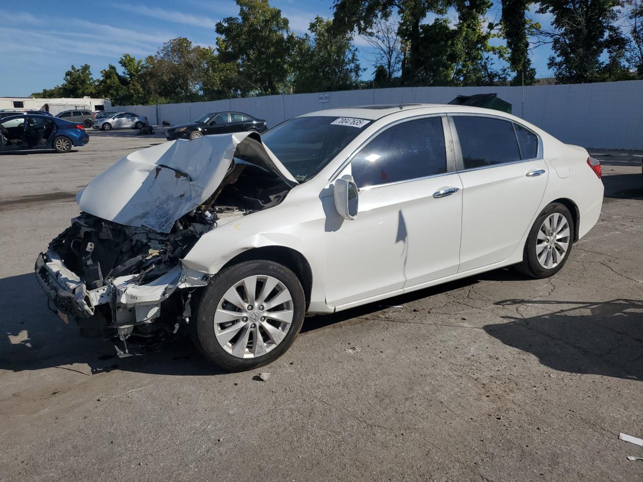 HONDA ACCORD EXL
