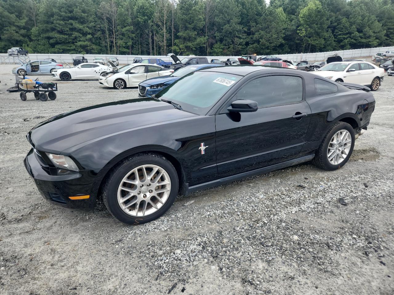 FORD MUSTANG