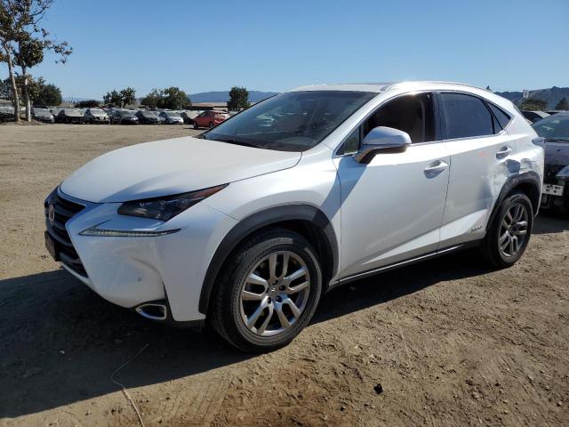 LEXUS NX 300H