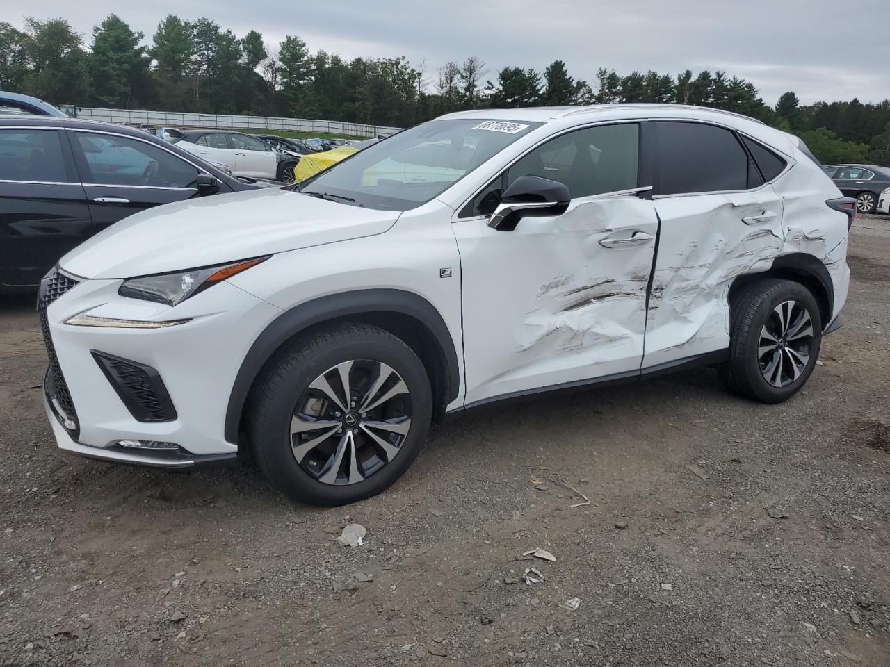 LEXUS NX 300 F SPORT