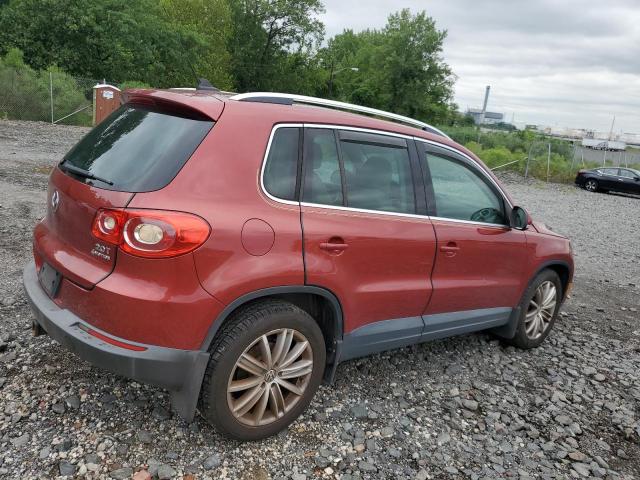 2010 VOLKSWAGEN TIGUAN SE - WVGBV7AX2AW000641