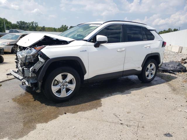 Global Auto Auctions: 2019 TOYOTA RAV4 XLE