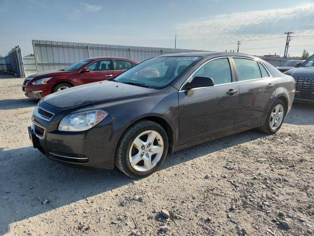 2012 CHEVROLET MALIBU LS - 1G1ZA5EU7CF334985
