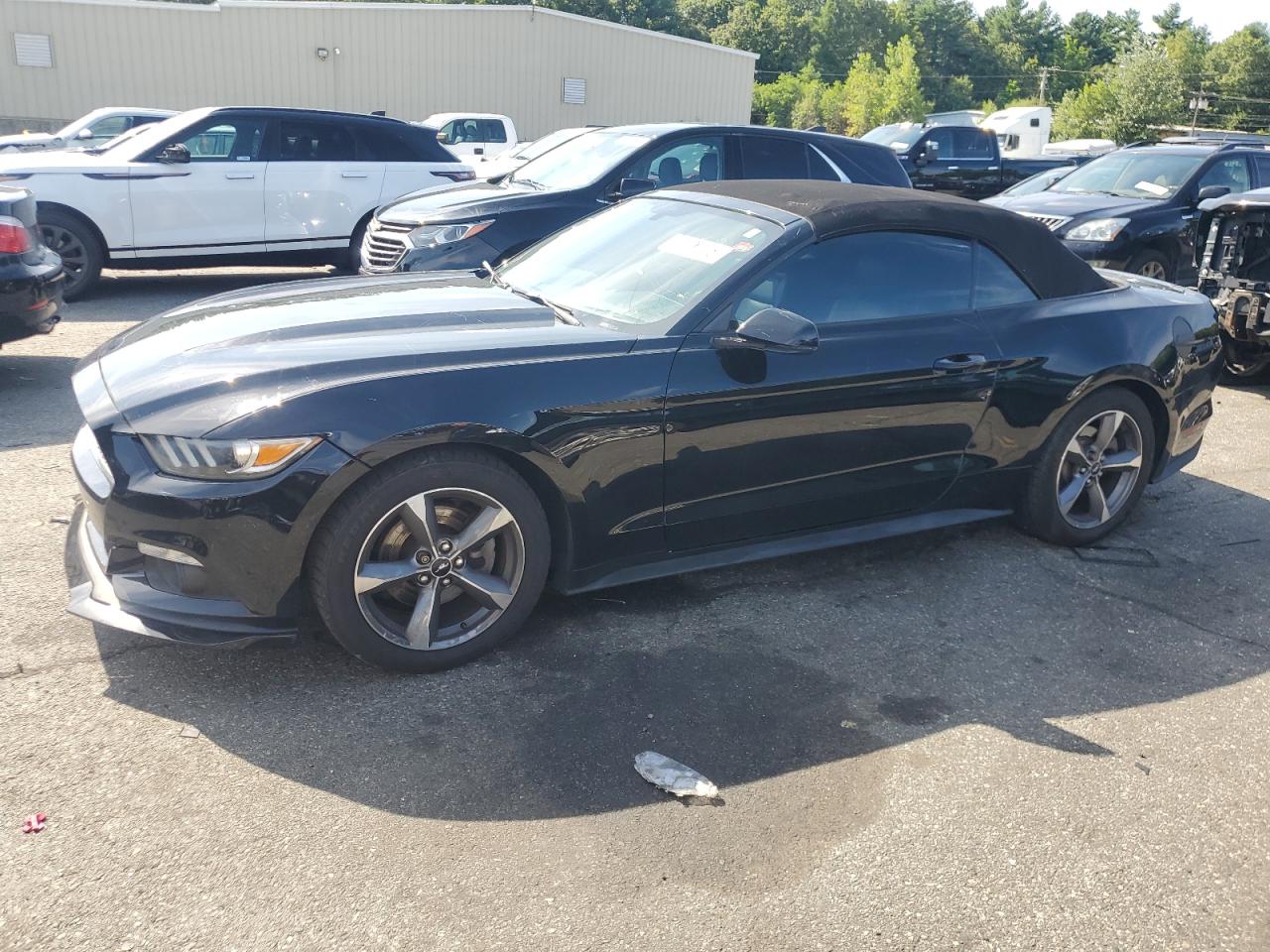 FORD MUSTANG