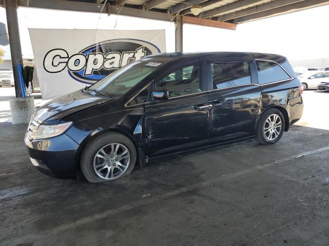 HONDA ODYSSEY EXL