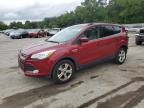 2016 FORD ESCAPE SE - 1FMCU0GX5GUB33100