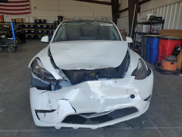 2023 TESLA MODEL Y #3308466276