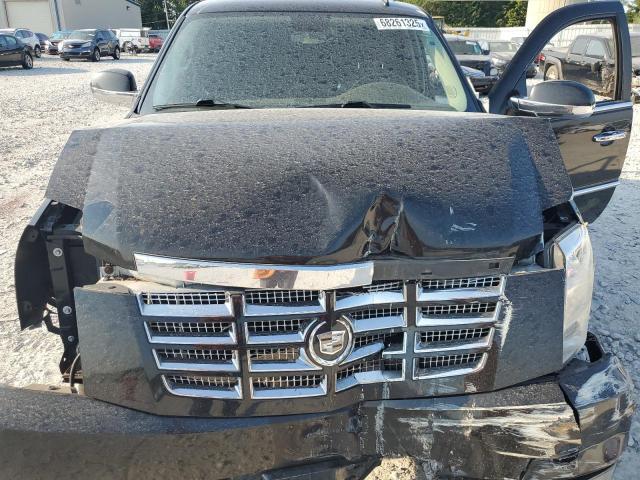 2010 CADILLAC ESCALADE - 1GYUKAEF7AR224288