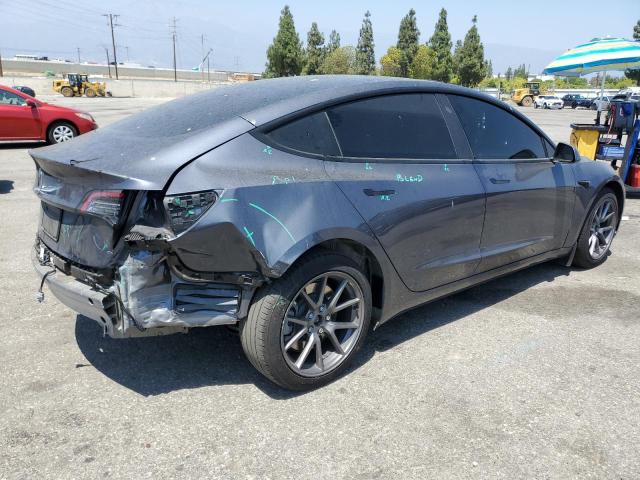 2023 TESLA MODEL 3 #3304572438