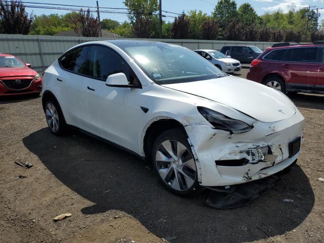 2023 TESLA MODEL Y 7SAYGDEE4PF804715