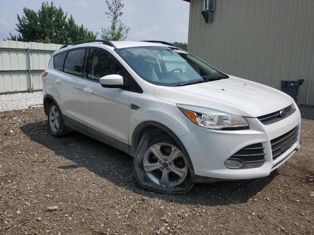2014 FORD ESCAPE SE - 1FMCU9G96EUC80660