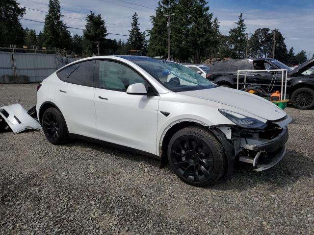 2022 TESLA MODEL Y 7SAYGAEE4NF518942