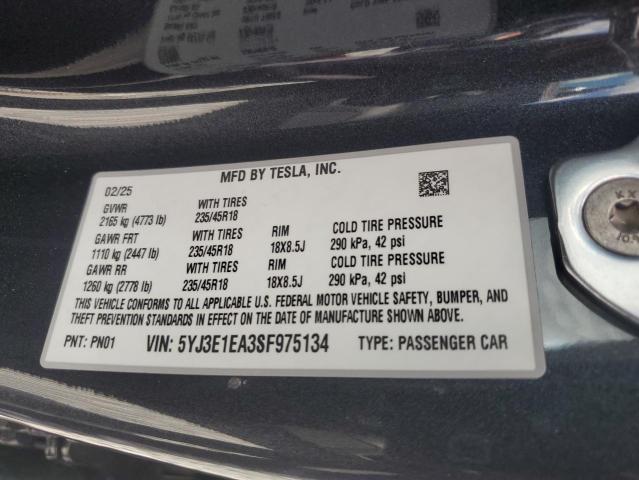 2025 TESLA MODEL 3 5YJ3E1EA3SF975134